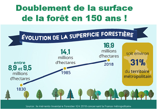 Doublement de la surface de la fort en 150 ans !