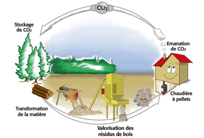 Vos questions sur le granuls de bois Pellets, valorisation des rsidus de bois